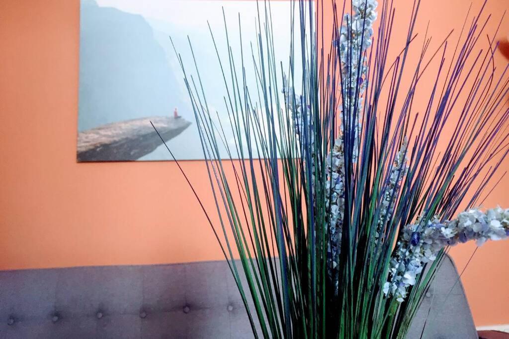 Apartamento 6 De Mayo Ronda Dış mekan fotoğraf